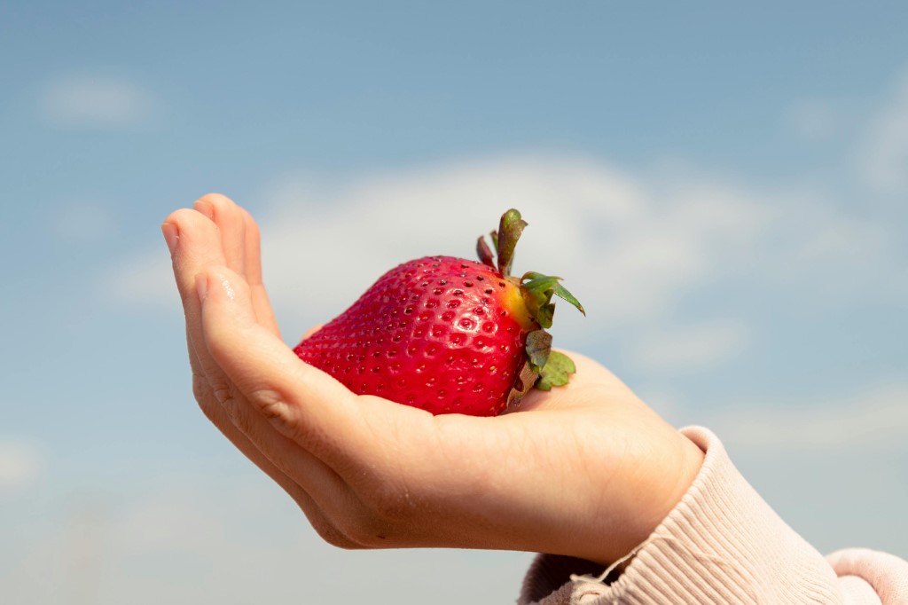 strawberry